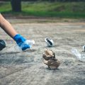 Die deutsche Wasserstoffstrategie: Politische Rahmenbedingungen und Förderung für Zulieferer und Hersteller