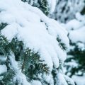 Warum ist die Wintervorbereitung für Ihr Auto in Deutschland so wichtig? Eine umfassende Analyse