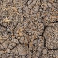 Umweltbilanz von Wasserstoffautos: Von der grauen zur grünen Wasserstoffproduktion