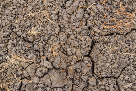 Umweltbilanz von Wasserstoffautos: Von der grauen zur grünen Wasserstoffproduktion