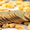 Europäische Chip-Strategie: Der European Chips Act und seine Bedeutung für Deutschlands Autokonzerne