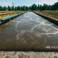 Von der Forschung zur Serienproduktion: Entwicklungspfade deutscher Wasserstofffahrzeuge