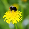 Versicherung und Steuern: Wie beeinflusst das Antriebssystem Kosten und bürokratischen Aufwand in Deutschland?