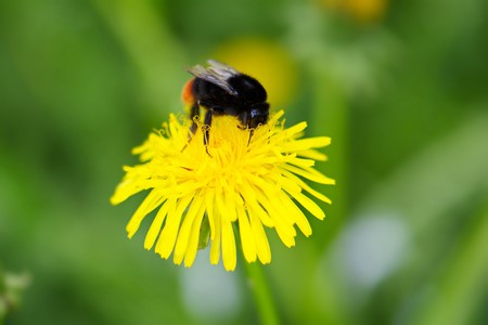 Versicherung und Steuern: Wie beeinflusst das Antriebssystem Kosten und bürokratischen Aufwand in Deutschland?