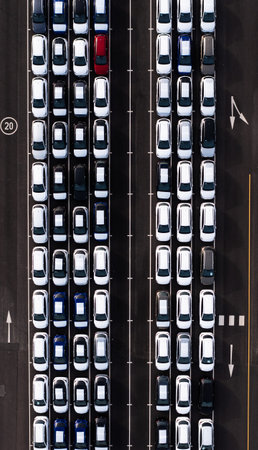 Langfristige Wirkung der Förderprogramme auf Umwelt und Verkehrssektor